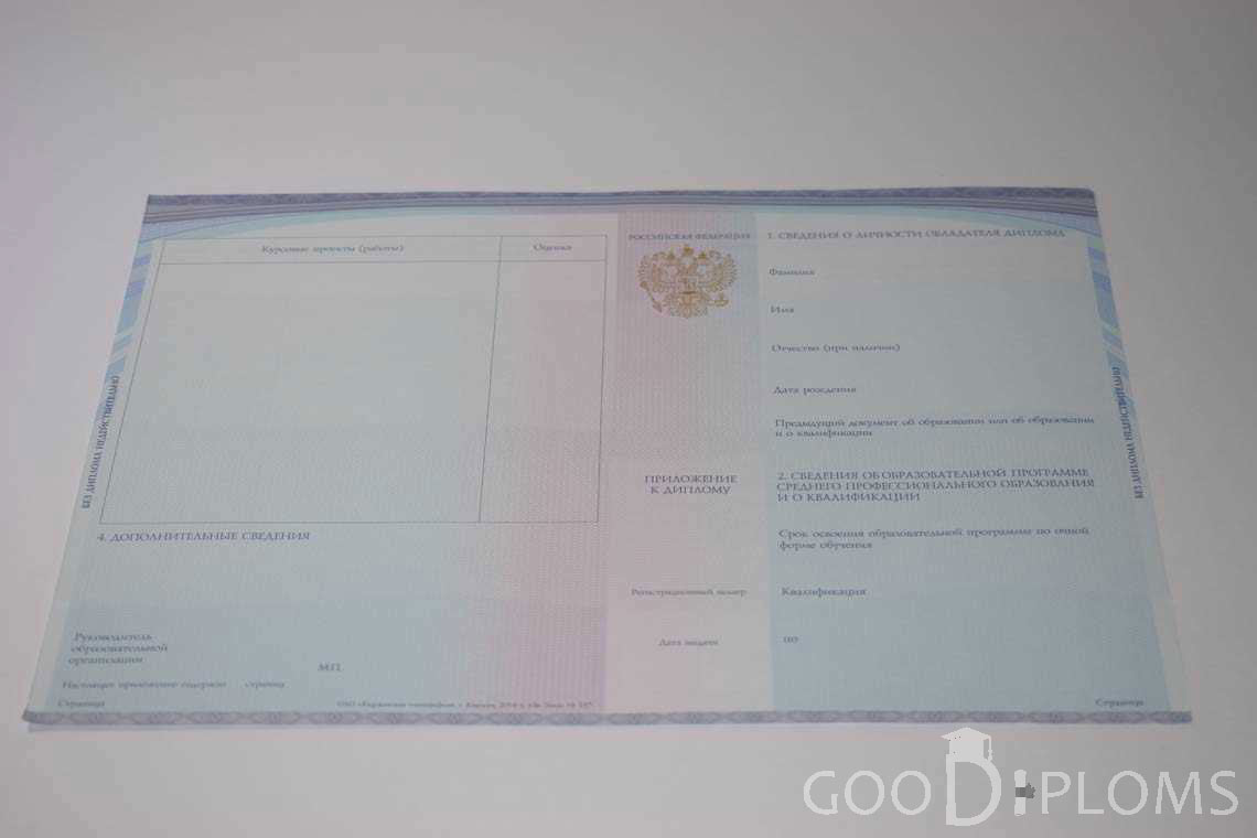 Приложение к Диплому Техникума с Отличием в период c 2014 по 2025 год - Владивосток